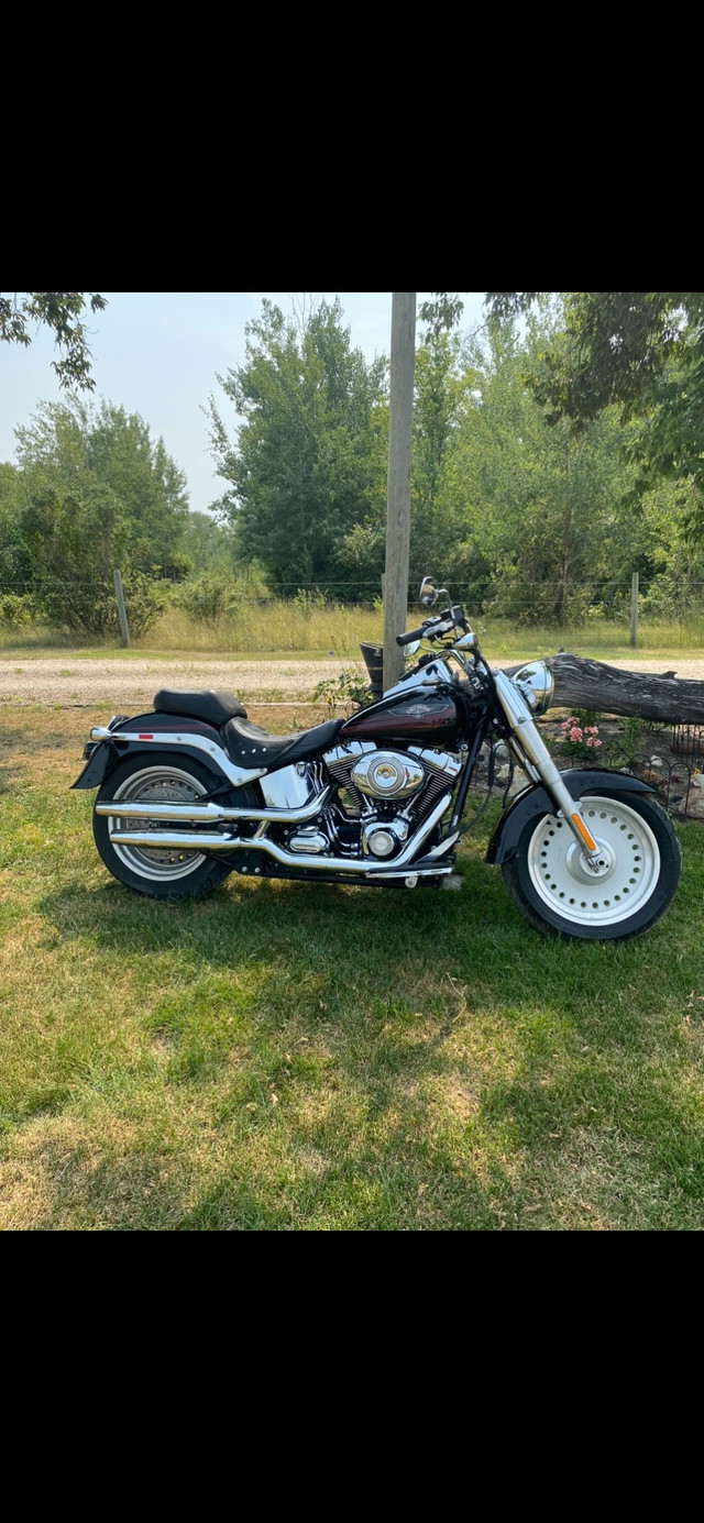 2007 Fatboy  in Street, Cruisers & Choppers in Winnipeg