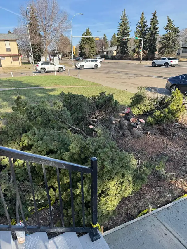     Same-Day Junk Removal & Hauling in Moving & Storage in Edmonton - Image 4