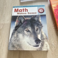 math makes sense  Markham / York Region Toronto (GTA) Preview