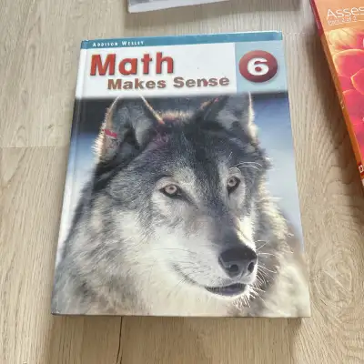 math makes sense , View more