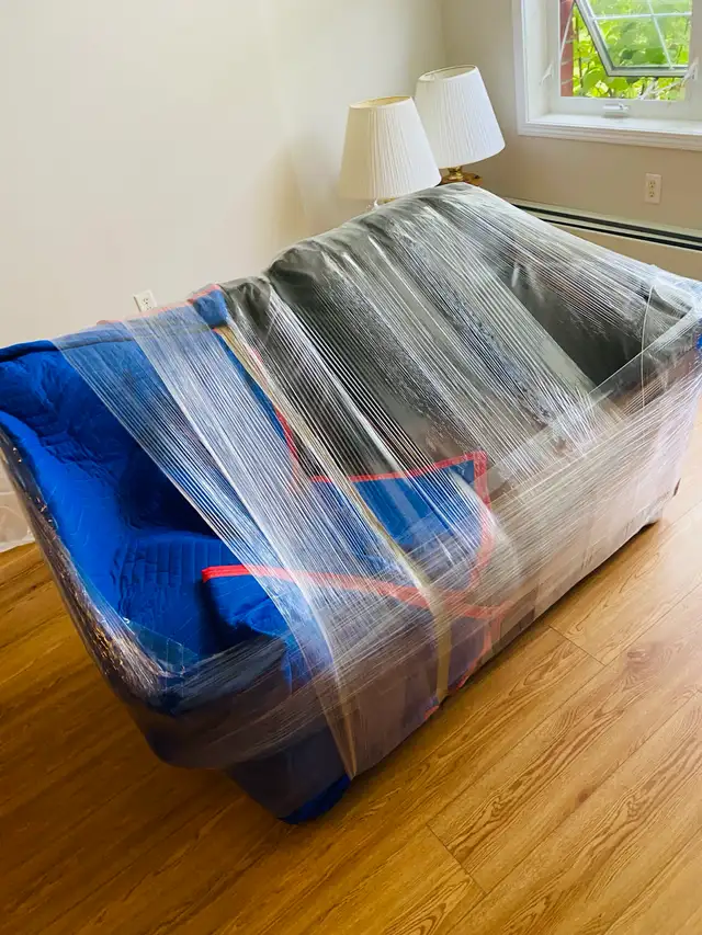 Pro Punjab Movers65561302048385123