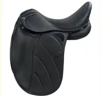 M. Toulouse Performance Artisan Dressage with Genesis 17