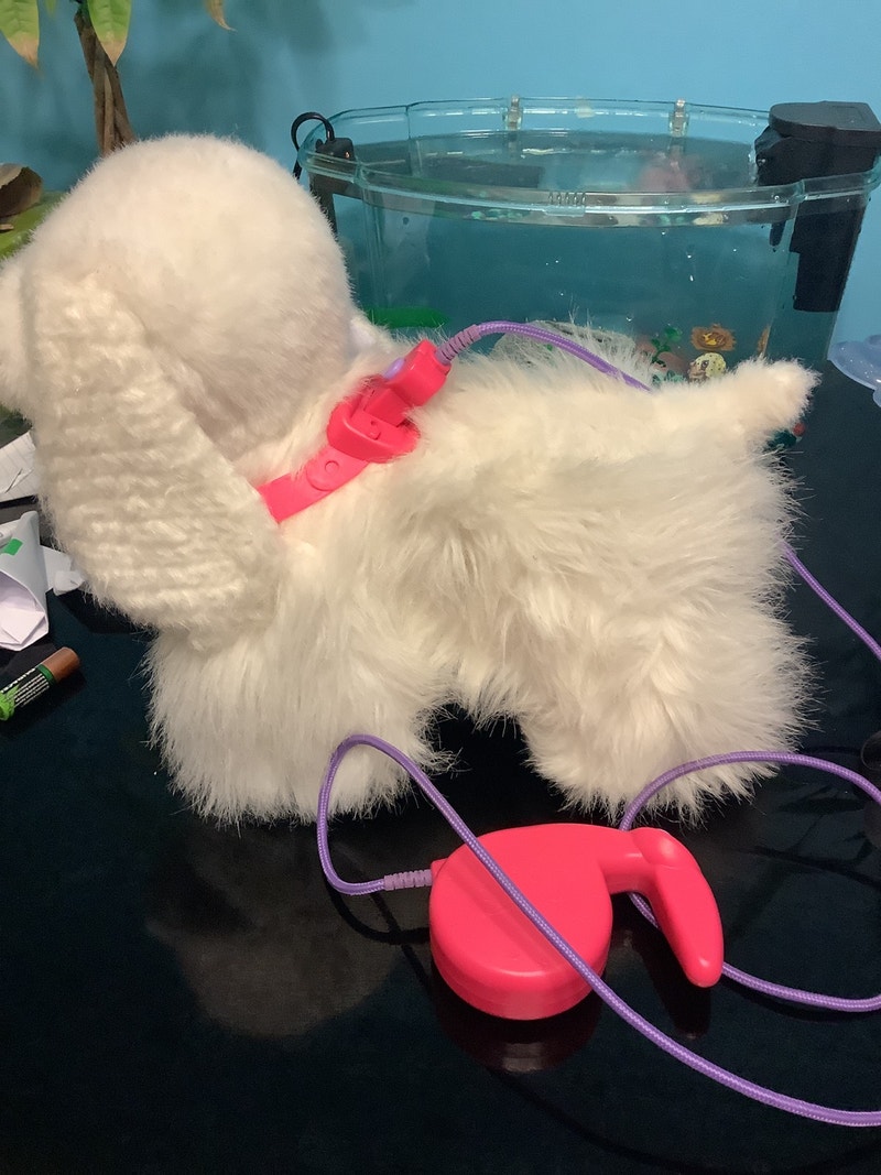 GoGo the walking pup, Furreal Friends walking dog for kids | Toys