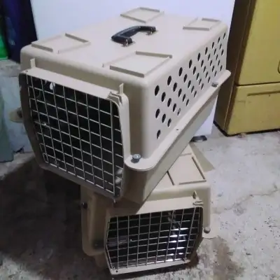 Transporteurs pour animaux 25$ ch ou 2 pour 40$, View more