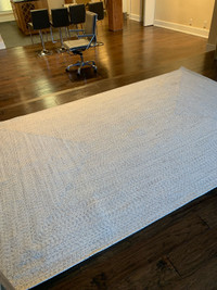Beautiful indoor/outdoor rug with rug pad