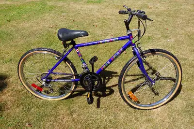 Mens and boys bikes, $40 each, View more