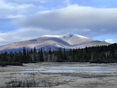 Looking for a home to rent with a rent to own possibility. Prefer past the carcross cut off no farth...