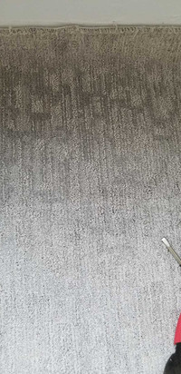 Brand new gray carpet sealed for sale asking $$ 250