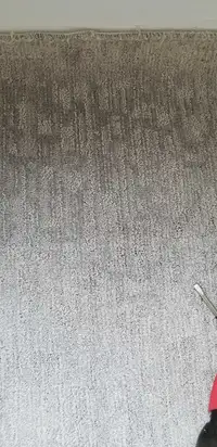 Brand new gray carpet sealed for sale asking $$ 200