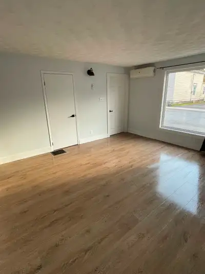 Newly renovated 1 bedroom apartment for rent. New flooring , trim, appliances , and paint. Ground fl...