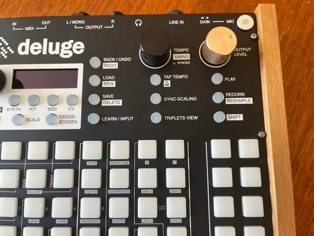 Synthstrom Deluge OLED screen486356717751521283