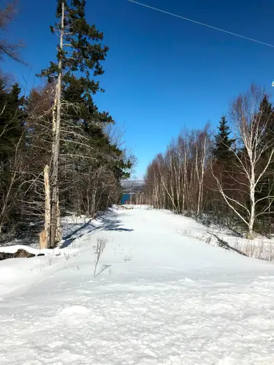 10.7 acres of cleared/undeveloped land in Cape Breton, Nova Scotia. Driveway in place and access to...