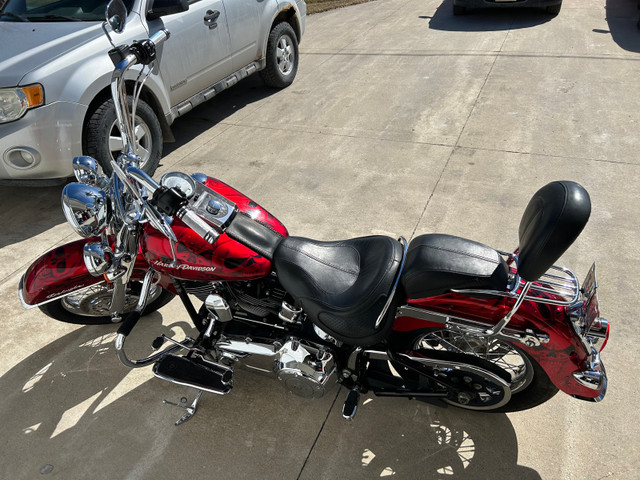 2013 Harley-Davidson Softail Deluxe in Street, Cruisers & Choppers in Winnipeg - Image 4