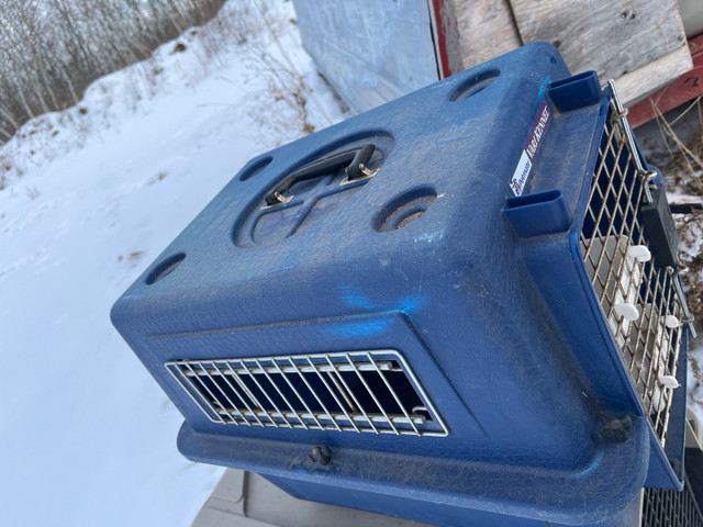 Dog Kennel for Sale  in Accessories in Prince Albert - Image 3