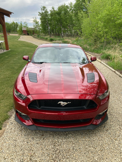 2017 Mustang GT