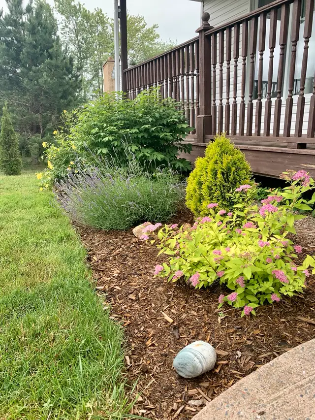 PINE HILL GARDENING - Landscape & Garden Maintenance in Lawn, Tree Maintenance & Eavestrough in Bedford - Image 2