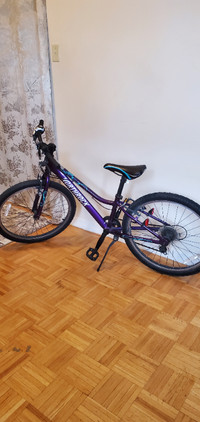 Northrock GS24 kids bike (purple)