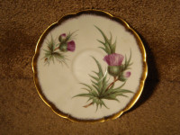 Do you have a tea cup looking for a saucer?