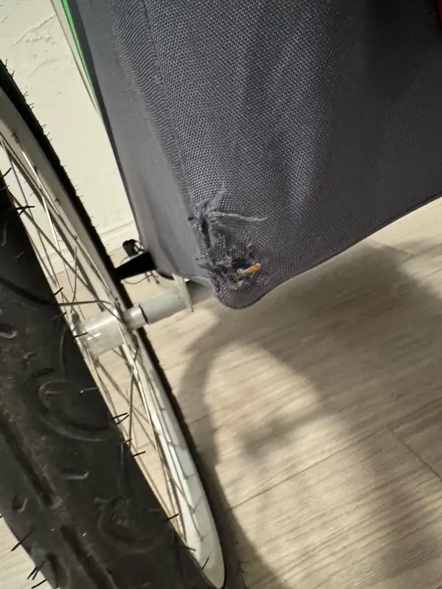 Thule Bike Trailer 2 Kids – Cadence Double – Lightly Used – $130 in Kids in Mississauga / Peel Region - Image 8
