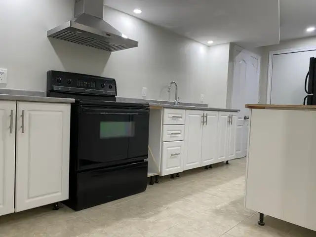 1+Den Basement Apartment in Woodbridge 