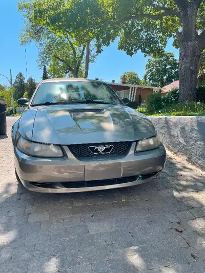 2002 Ford mustang SRS