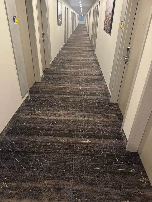 CARPET INSTALLATION65561331095554120