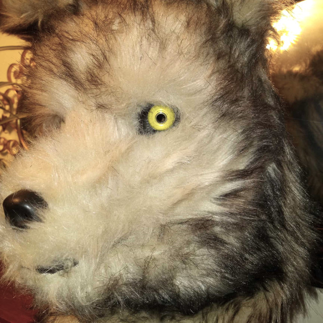 Halloween Cosplay Realistic Gray Wolf Mascot Costume Head Mask! in Costumes in London - Image 2
