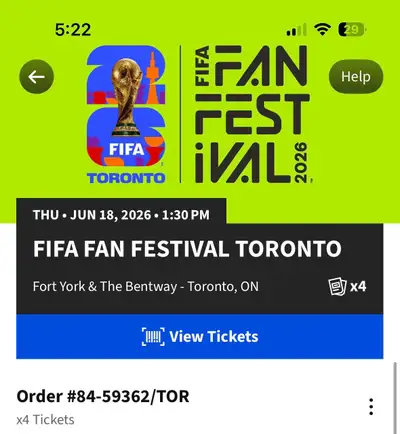 FIFA Fan Fest, View more