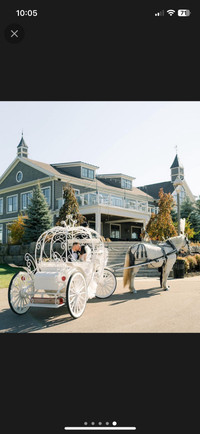Horse drawn carriage for weddings 
