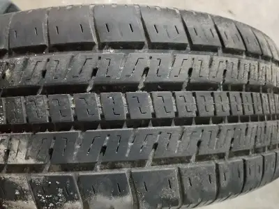 Two Motomaster SE2 $80 for the pair Two Uniroyal Tire Paw $80 for the pair Take all four for $150 Lo...