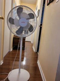 Sunbeam floor fan