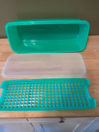 Vintage Tupperware Vegetable Crisper