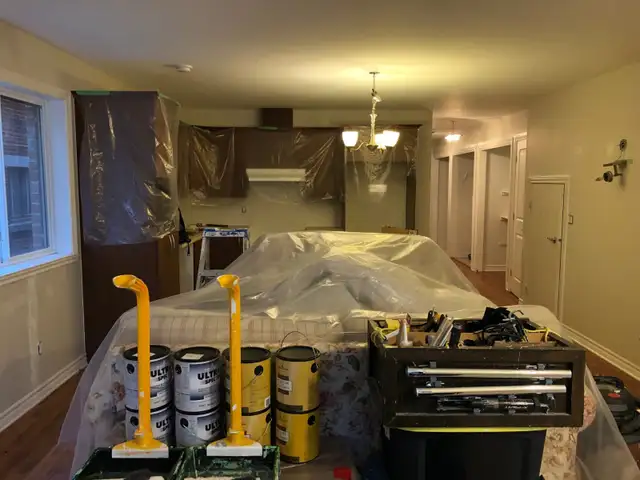 Painter clean and pro for more than 15 years62863222277251124
