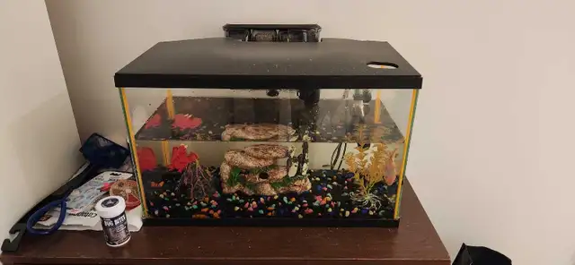 Aquarium Et accessoires  in Accessories in City of Montréal - Image 2