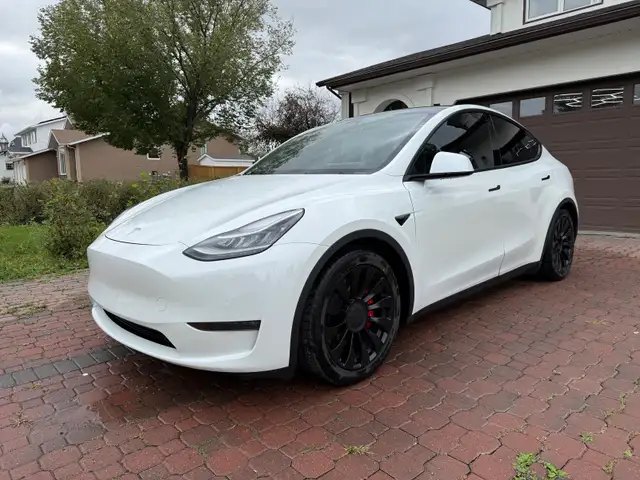 2020 Tesla Model Y Performance AWD558834001684080646