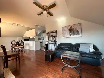 Mississippi Mills/Almonte- Mill St 1 BdrmApt/Balcony, AC/Laundry, View more