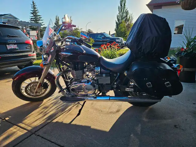 Triumph America 865cc in Street, Cruisers & Choppers in Edmonton - Image 3