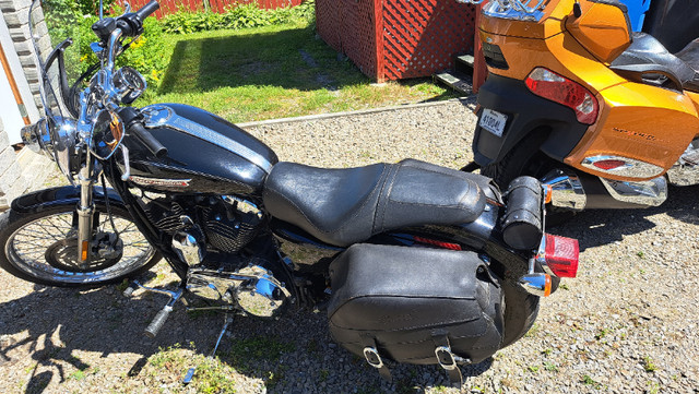 Moto harley sporster dans Routières sportives  à Rimouski / Bas-St-Laurent - Image 4