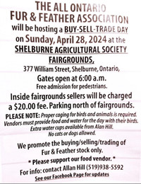 Shelburne BST