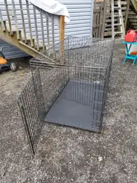 cage pour grand chien