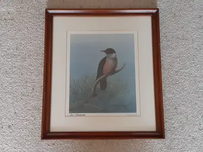 Lewis' Woodpecker Print by Ralph D. Carson, View more