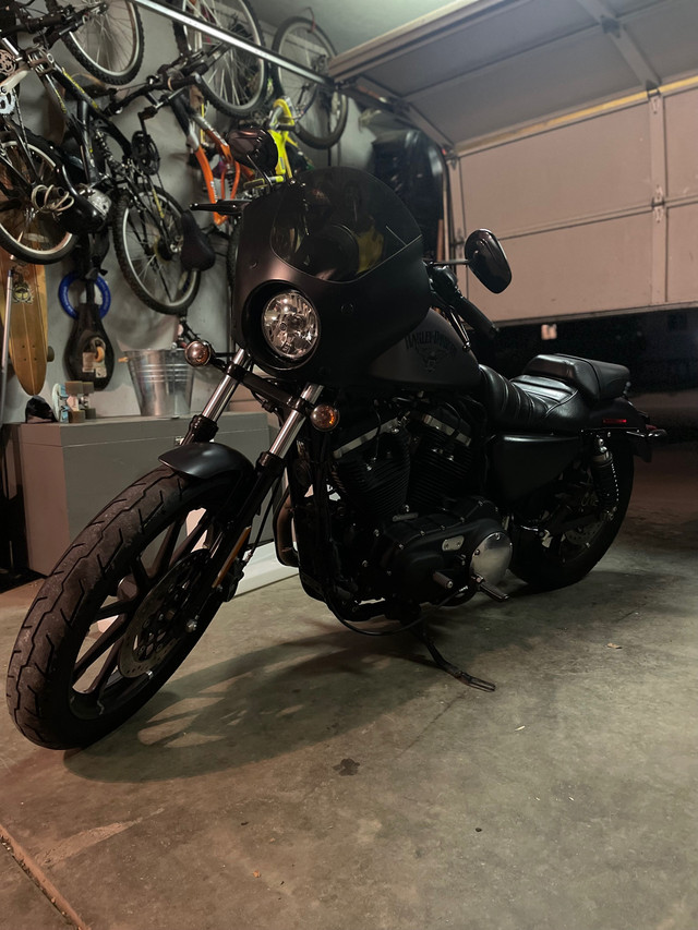 2016 Harley Davidson sportster  in Street, Cruisers & Choppers in Saskatoon - Image 2