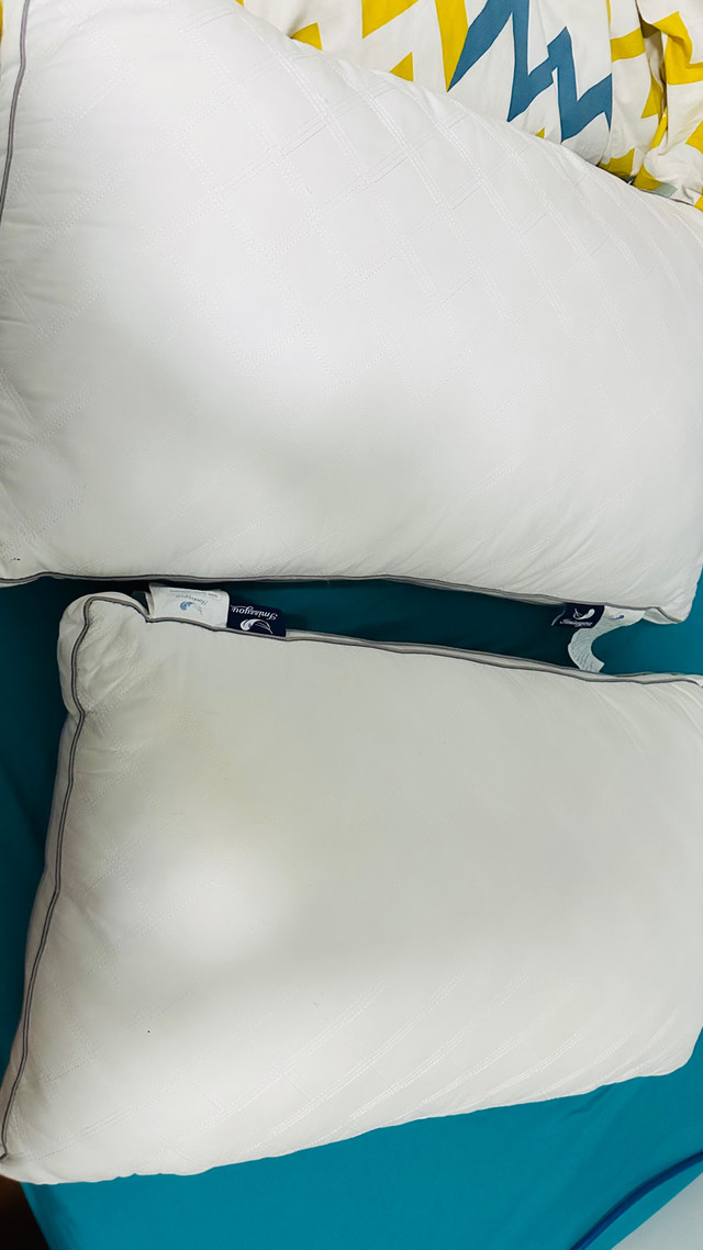 Pillows  in Other in Mississauga / Peel Region