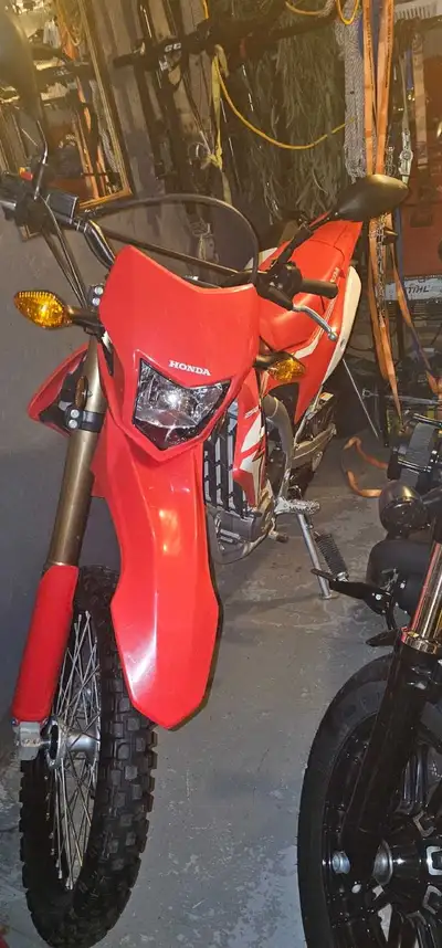 Perfect bike, no time for it.