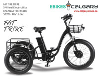 FAT TIRE CARRIAGE TRIKE Electric - BAFANG Motor 500W, 48V15.5Ah