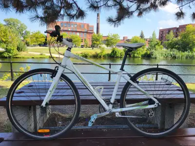 Giant ESCAPE W ALUXX aluminum lady's hybrid, Shimano ALTUS., View more