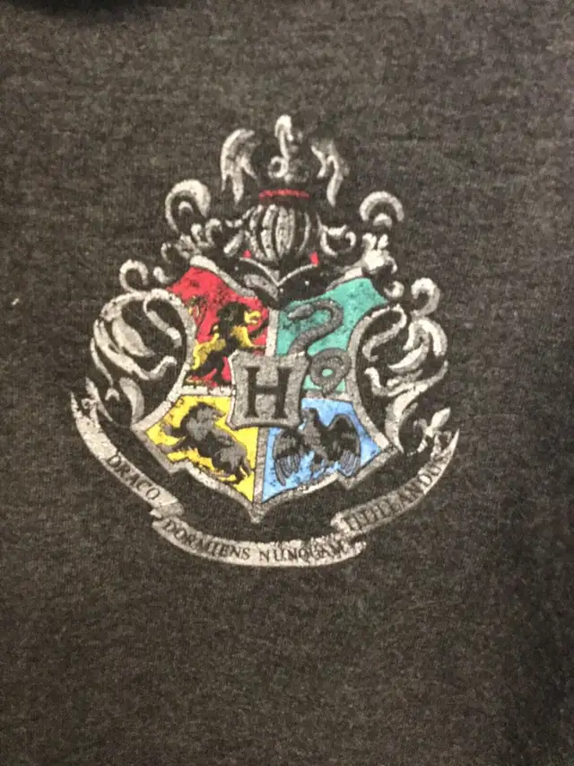 Veste Harry Potter (ado) in Kids & Youth in Longueuil / South Shore - Image 4