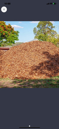 Wanted wood chips 