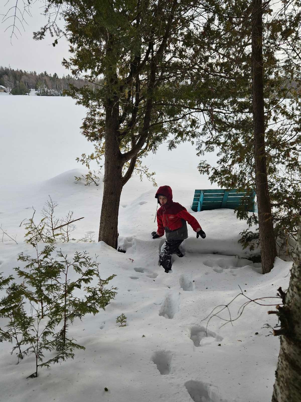Terrain au bord du lac Bixley Laurentides — photo 2