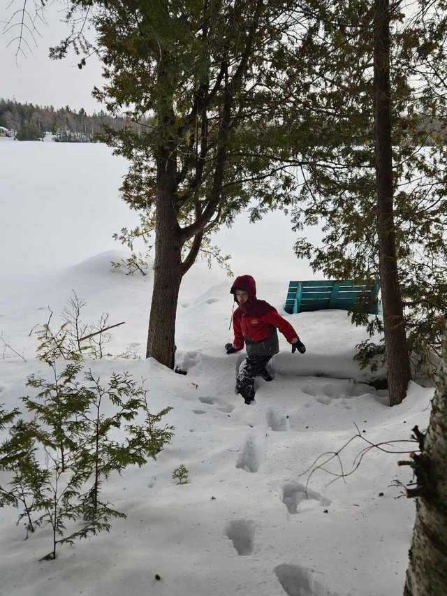 Terrain au bord du lac Bixley Laurentides — photo 2